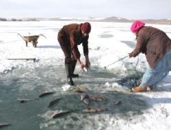 Çıldır Gölü'nde ilginç av yöntemi